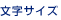 �����T�C�Y